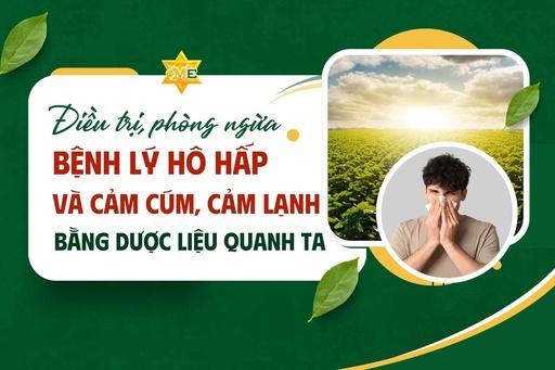 Điều trị, phòng ngừa bệnh lý hô hấp và cảm cúm, cảm lạnh bằng dược liệu quanh ta