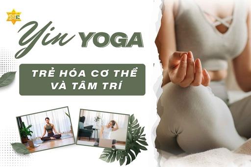Yin Yoga: Trẻ hóa cơ thể và tâm trí